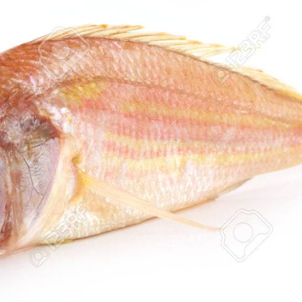 Powa fish